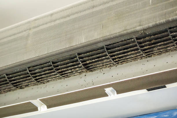 Best Affordable Duct Cleaning Services  in New Town, ND